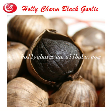 manufacturer supply solo black garlic